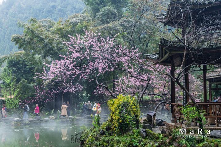 诱捕小浣熊