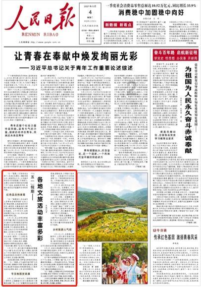 救援白色小猫